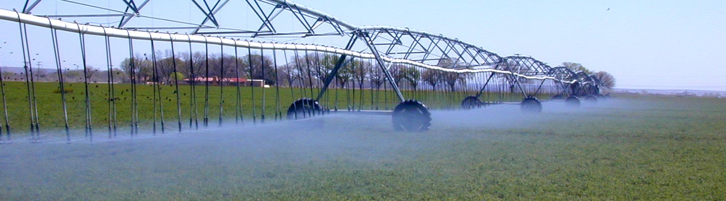 Banner for Value-Added Agriculture
